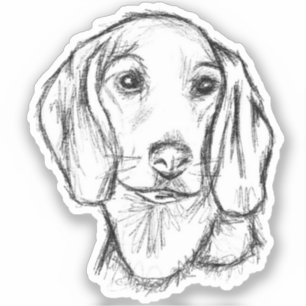 dachshond puppy hond zwart wit eenvoudige schets sticker