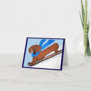 Dachshond Skiën