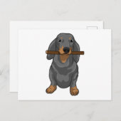 Dachshond Stok Briefkaart (Voorkant / Achterkant)