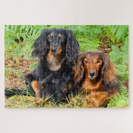 Dachshonden Legpuzzel (Horizontaal)
