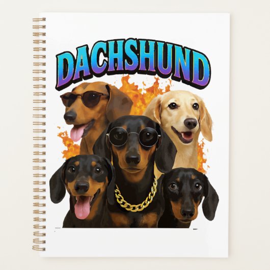 Dachshund (Devant)