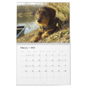 Dachshund 2011 - aanpasbare kalender! kalender (Feb 2026)
