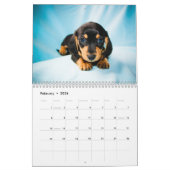 Dachshund 2013 kalender (Feb 2026)