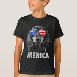 Dachshund 4 juli Merica Mannen American Flag Sun T-shirt