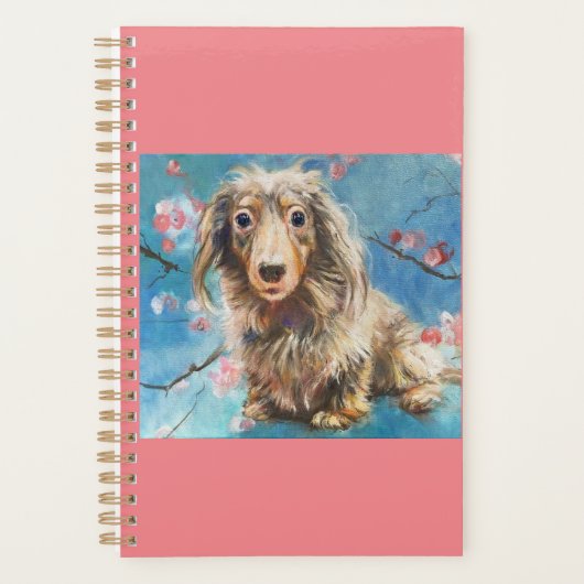 Dachshund à long Haired dans le planificateur de f (Devant)