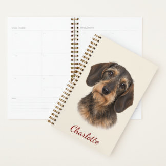 Dachshund à poil dur personnalisé avec nom