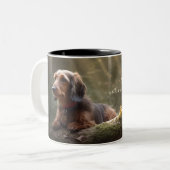 Dachshund à poils durs dans la Mug de café à deux  (Devant gauche)