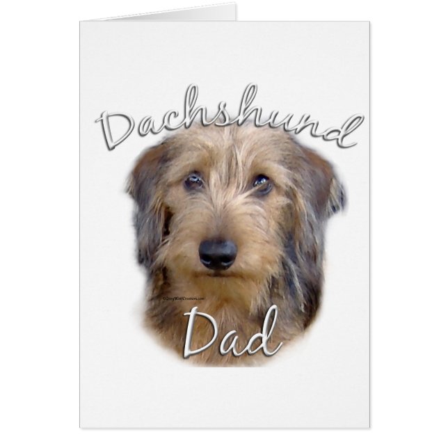 Dachshund (à poils durs) Papa 2 (Devant)