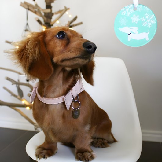 Dachshund À Travers L'Ornement De L'Arbre De Noël 