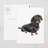 Dachshund (A) - Zwart en Lichtbruin Briefkaart (Voorkant / Achterkant)