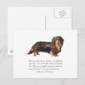 Dachshund Aandenken - Mannelijk Briefkaart (Voorkant / Achterkant)