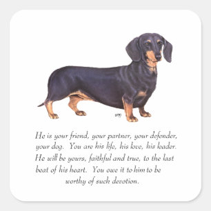 Dachshund Aandenken - Mannelijk Vierkante Sticker