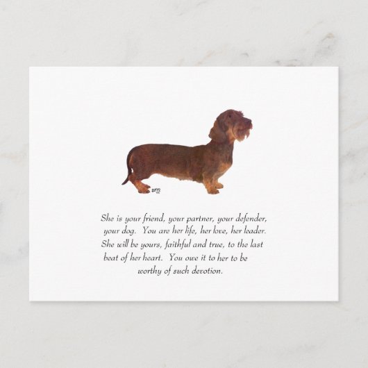 Dachshund Aandenken - Vrouwelijk Briefkaart (Voorkant)
