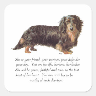 Dachshund Aandenken - Vrouwelijk Vierkante Sticker