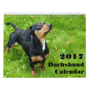 Dachshund Agenda 2023 met uw foto's Kalender