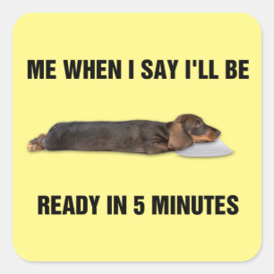 Dachshund, als ik zeg dat ik over 5 minuten klaar vierkante sticker