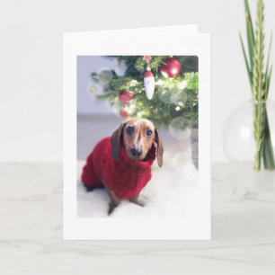 Dachshund avec la carte de Noël Arbre de Noël