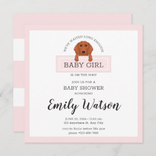 Dachshund Baby shower Invitation Briefkaart
