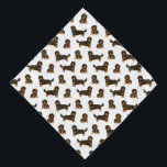 Dachshund Bandana aux cheveux longs<br><div class="desc">Ce design comporte de mignons dachshunds aux cheveux longs. Customisez ce design en sélectionnant une couleur arrière - plan de votre choix.</div>