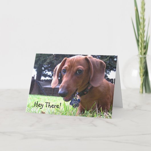 Dachshund Begroetingen Kaart (Voorkant)