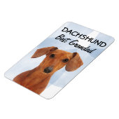 Dachshund Best Grandad Magnet Magneet (Linkerzijde)