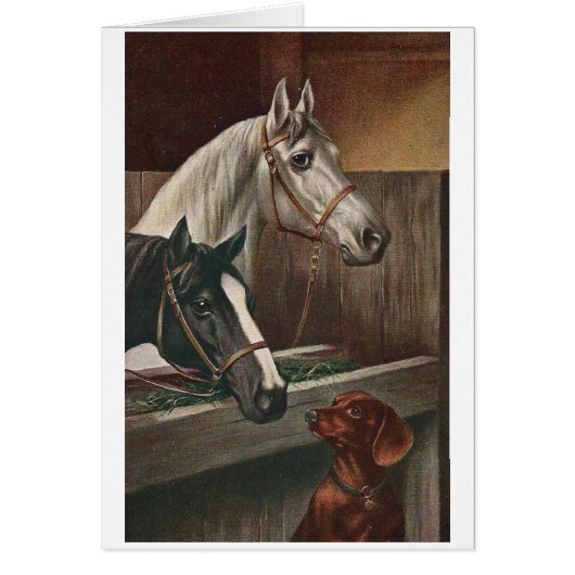 - Dachshund bezoekt paarden, (Voorkant)