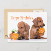 Dachshund Birthday Briefkaart (Voorkant / Achterkant)