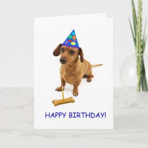 Dachshund Birthday Card by Focus for a Oorzaak Kaart