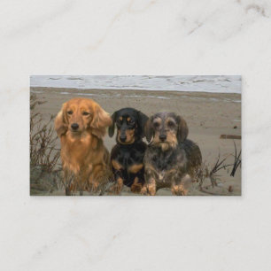 Dachshund Breeder Visitekaartje