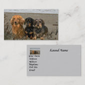 Dachshund Breeder Visitekaartje (Voorkant / Achterkant)