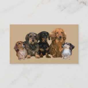 Dachshund Breeder Visitekaartje