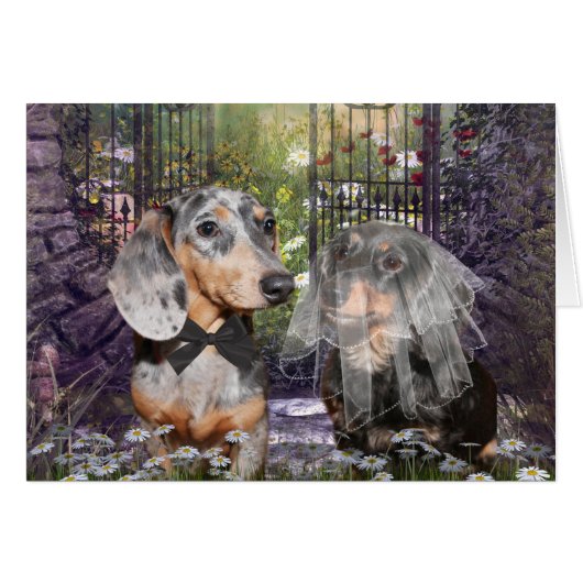 Dachshund bride en groom (Voorkant Horizontaal)