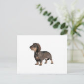 Dachshund Briefkaart (Staand voorkant)