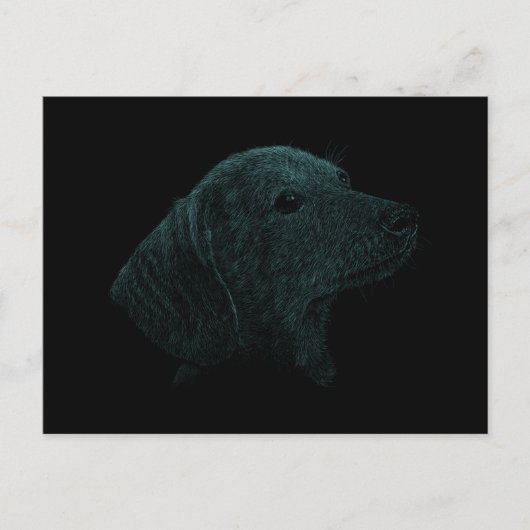 Dachshund Briefkaart (Voorkant)