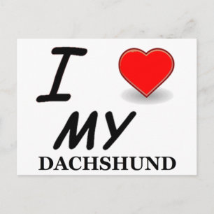 dachshund briefkaart