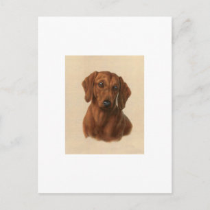 Dachshund Briefkaart