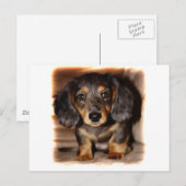 Dachshund Briefkaart (Voorkant / Achterkant)