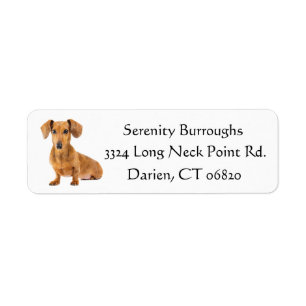 Dachshund Brown Puppy Dog Black, gepersonaliseerd Etiket