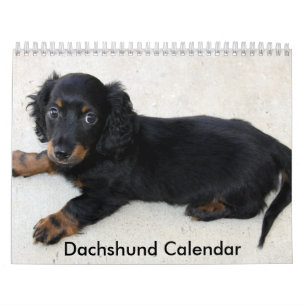 Dachshund Calendar 2023 Persoonlijke foto's Kalender