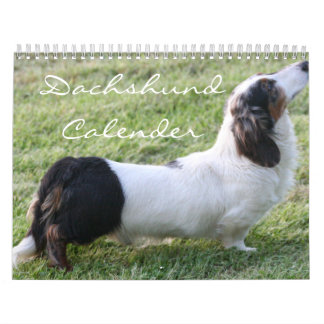 Dachshund Calender Kalender