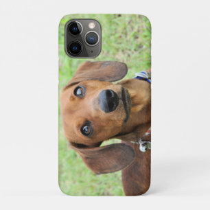 Dachshund iPhone 11 Pro Hoesje
