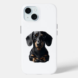 Dachshund