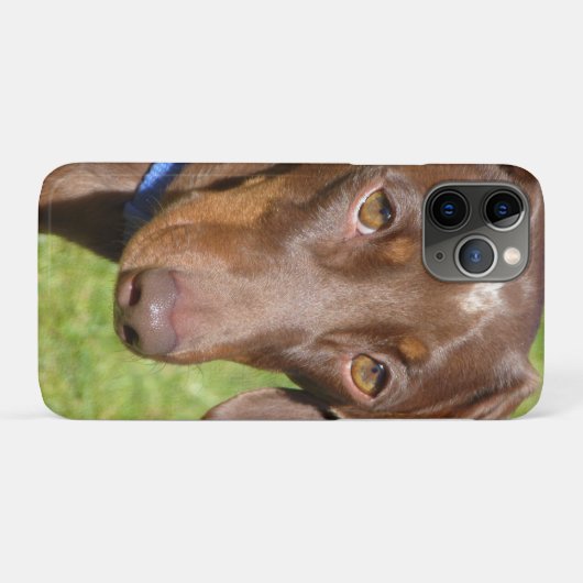 Dachshund Case-Mate iPhone Case (Achterkant (horizontaal))