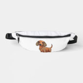 Dachshund Chien mignonne (Recto)