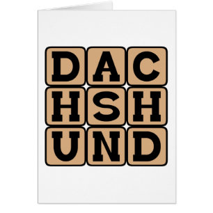 Dachshund, Chien Wiener