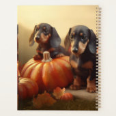 Dachshund Chiot Automne Citrouille de plaisir (Dos)