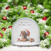 Dachshund Chiot Noël Surprise (Noël)