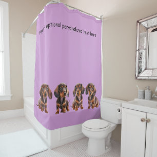 Dachshund Chiots Douche Rideau