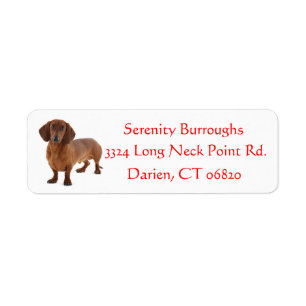 Dachshund Chocolade Bruin Puppy Hond Rood Etiket