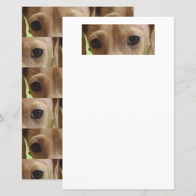 dachshund crème ogen scrapbookpapier (Voorkant / Achterkant)